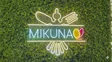 Mikuna Italia