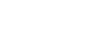 Web Novis Logo