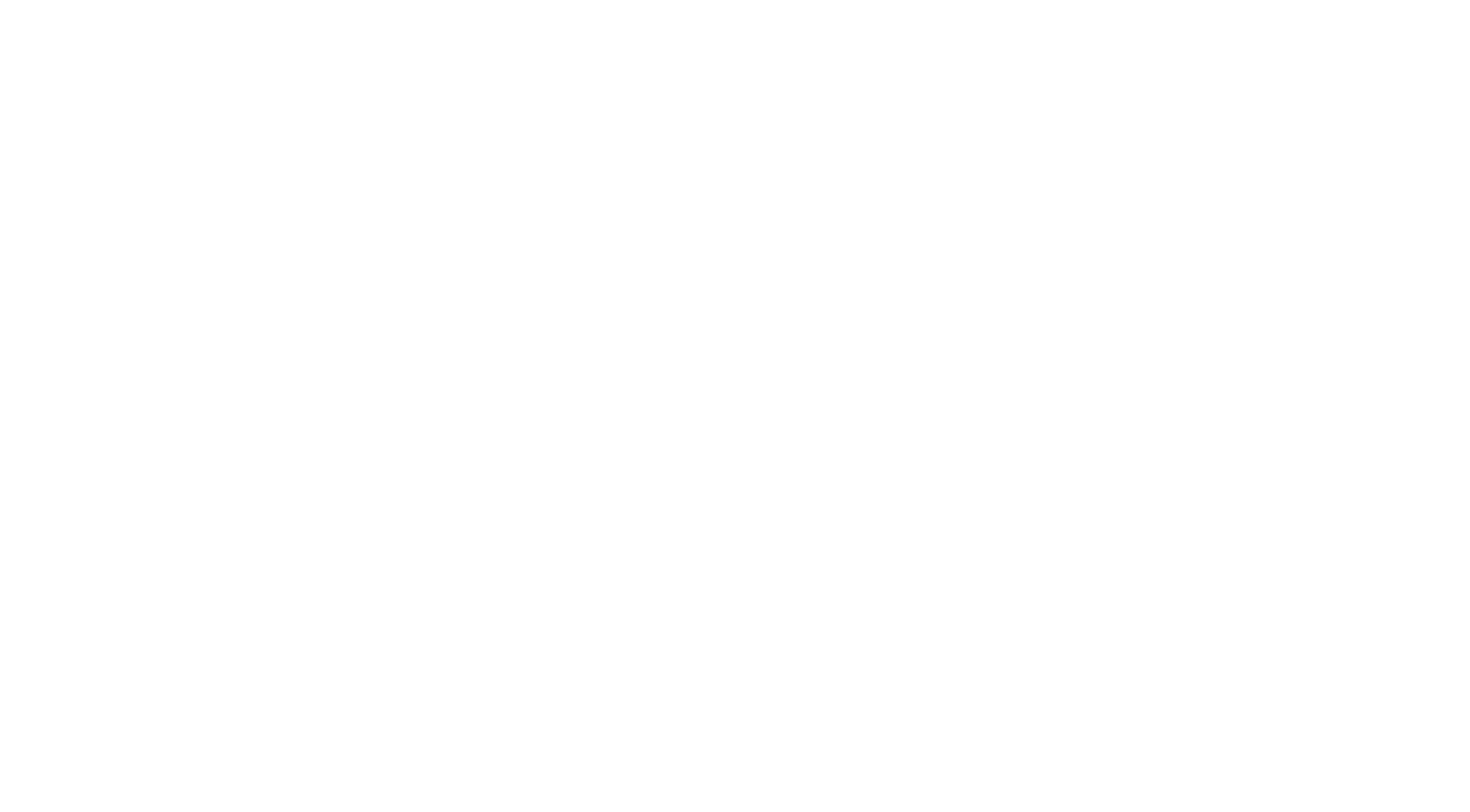 WebNovis Logo